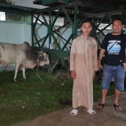 idul adha 2025 macan sejahtera cahaya