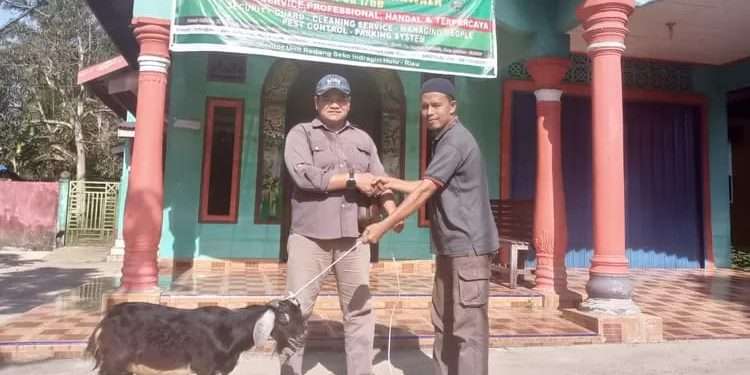 idul adha macan sejahtera cahaya