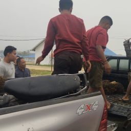 jasa satpam riau
