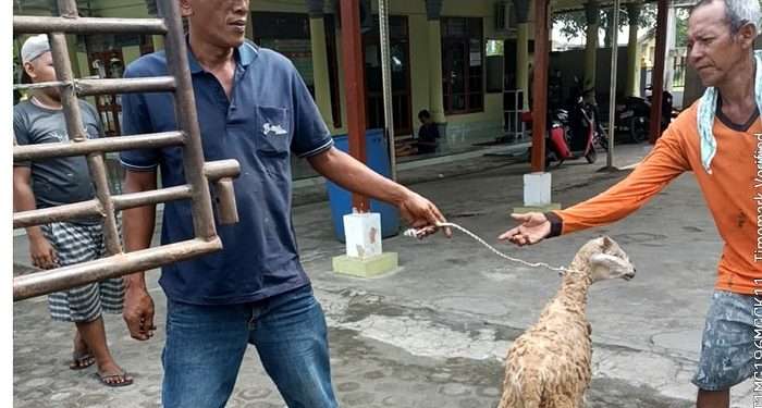 ildul adha 2025 macan sejehtera cahaya sei mangkei