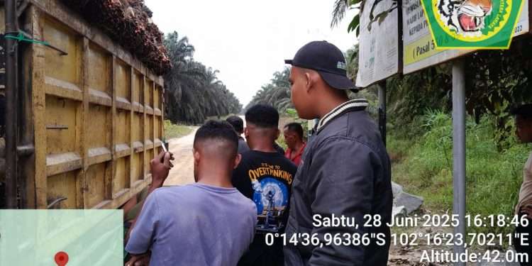 jasa satpam riau