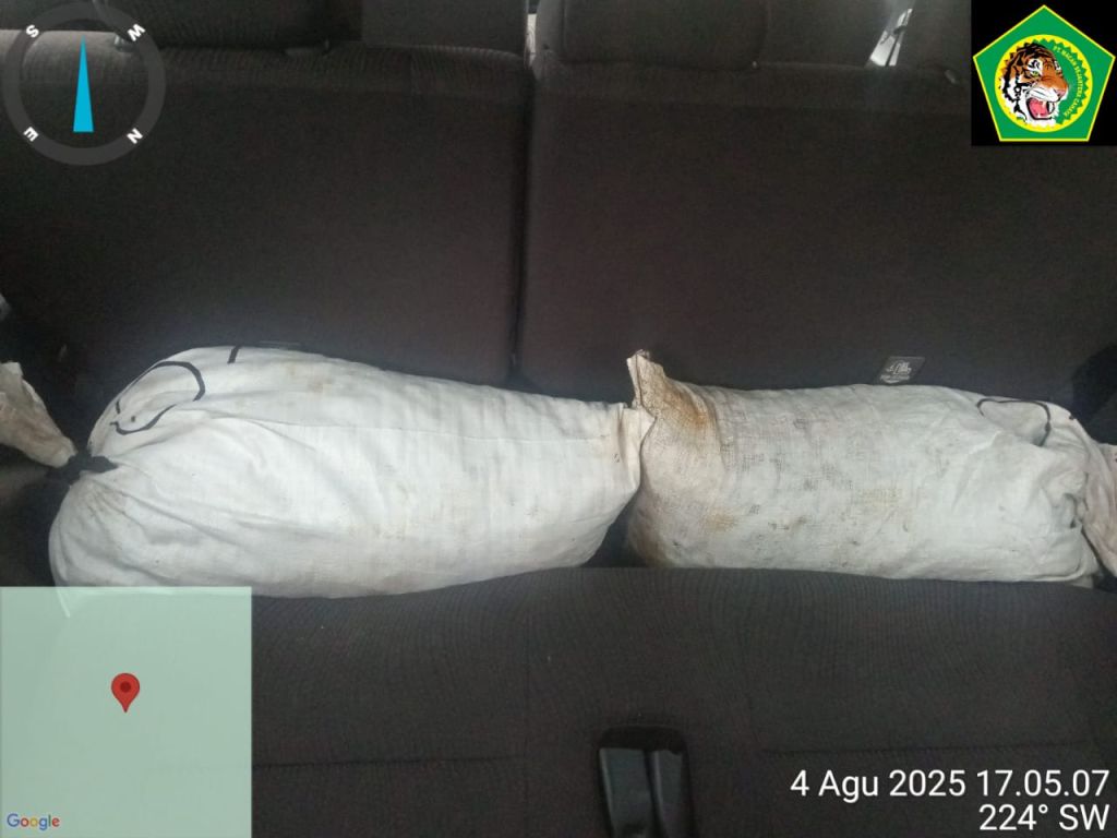 jasa satpam keamanan perkebunan
