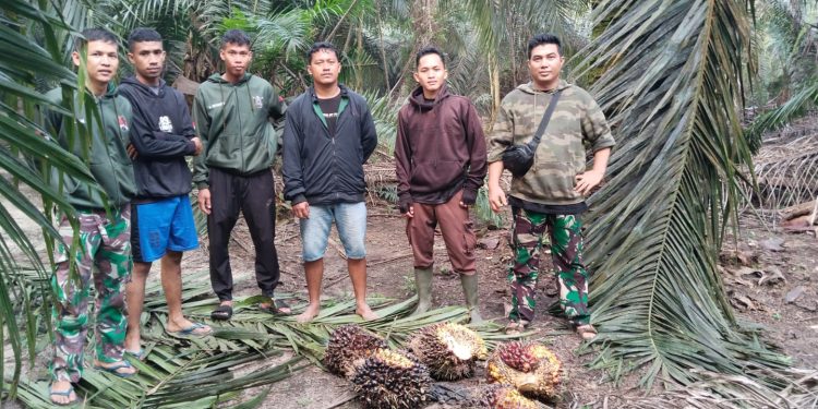 jasa satpam perkebunan