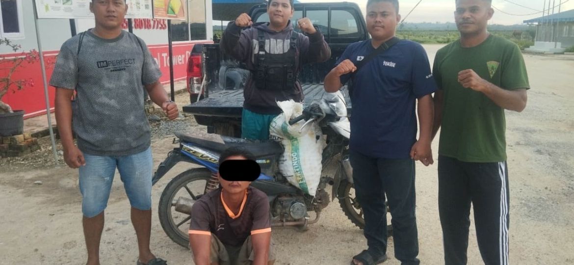jasa keamanan pekanbaru