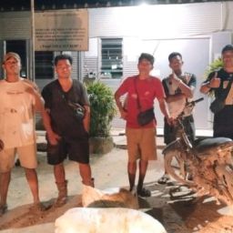 jasa keamanan lampung