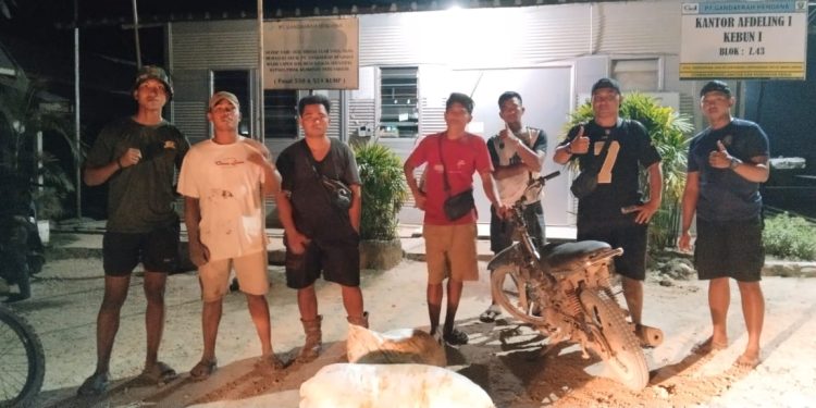 jasa keamanan lampung