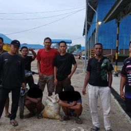 jasa keamanan perkebunan sawit riau