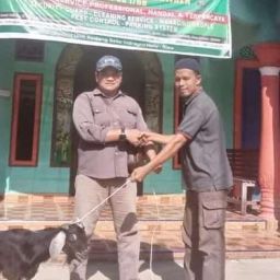 idul adha macan sejahtera cahaya