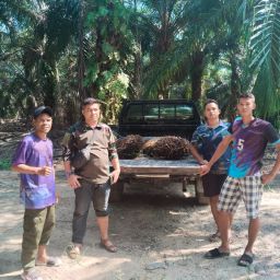 jasa satpam riau