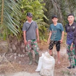 jasa keamanan perkebunan sawit