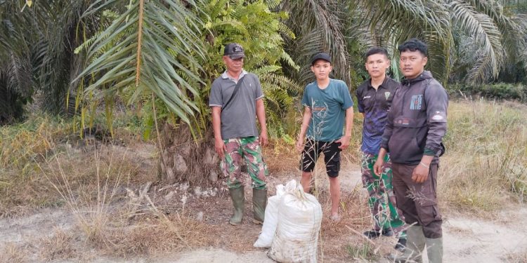jasa keamanan perkebunan sawit