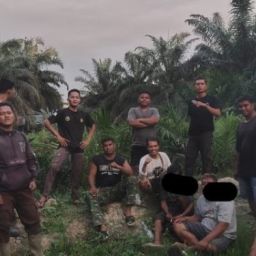 biro jasa keamanan perkebunan