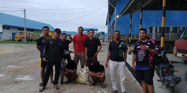 jasa keamanan perkebunan sawit riau