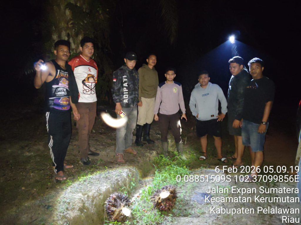 jasa keamanan pekanbaru