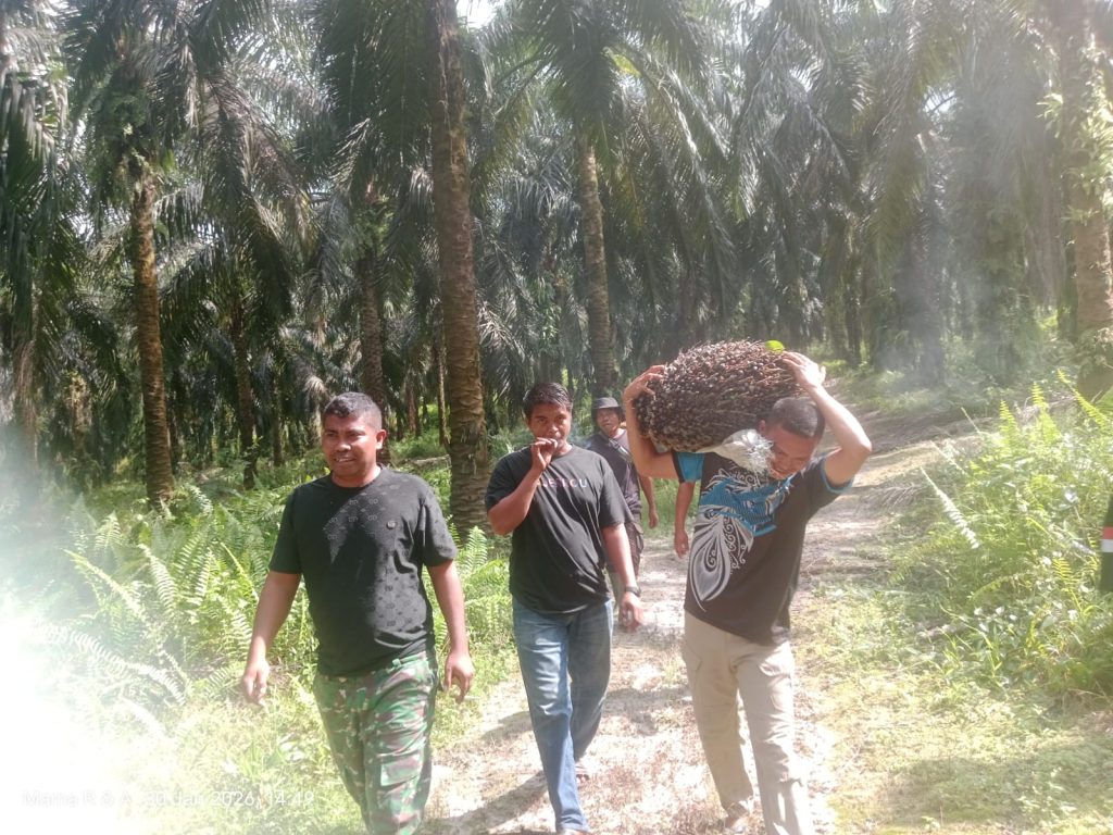 jasa keamanan perkebunan riau